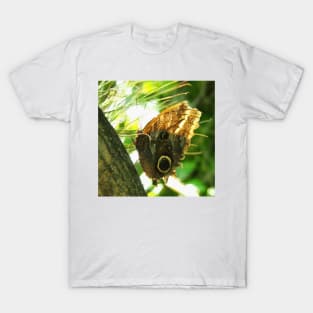 Mournful Owl Butterfly T-Shirt